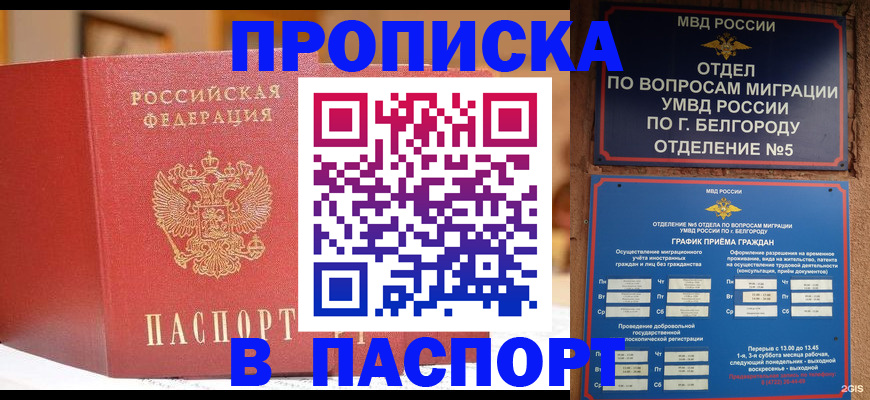 временная регистрация в квартире в Архангельской области